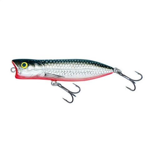 Popper Salmo Rover RV7 CBK