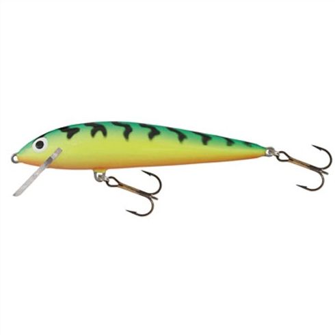 Vobler Salmo Minnow M6F GT
