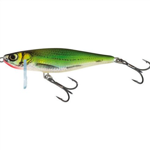 Vobler Salmo Thrill TH4 EF