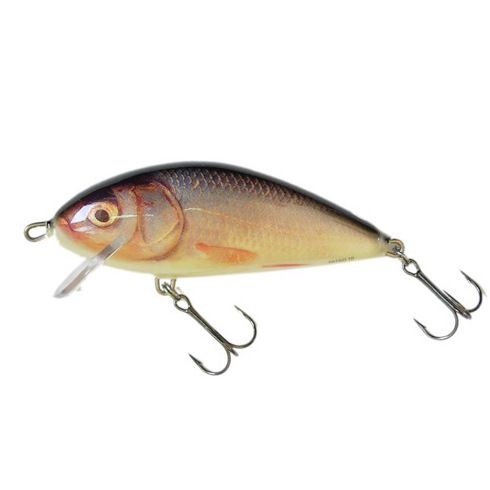 Vobler Salmo Fatso Crank F10C RR